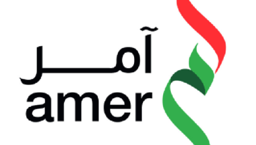AMER SERVICES